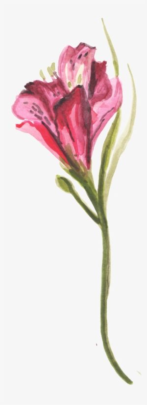 Red Plum Bouquet Transparent Decorative - Rose