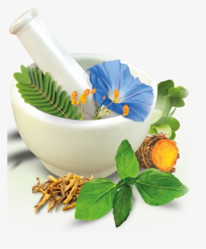 Herbal Products Prepared By Tribes To Be Exported - Suggest Name For Ayurvedic Company