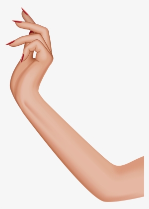 Female Hand Png