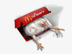 Want To See What Goes Into Making One Of Mcdonald's - I M Not Lovin It The Humane League