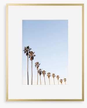 Metal Gallery Matte Gold - Sky With Palm Trees