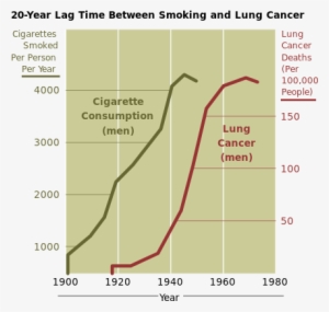 A Lengthy Study Conducted In Order To Establish The - Smoking And Lung Cancer Graph