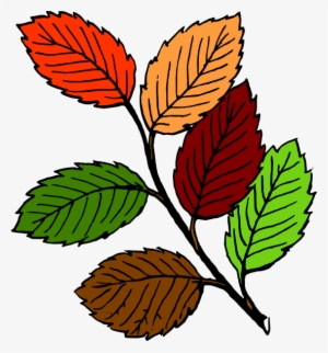 How To Set Use Fall Leaves Svg Vector