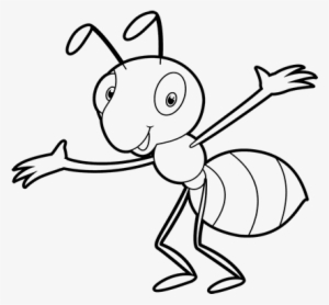 Ant Drawing - Colouring Images Of Ant Transparent PNG - 600x470 - Free  Download on NicePNG
