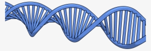 New Dna Png Clipart Picture New Dna Png Clipart Picture - Portable Network Graphics