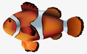 clownfish png transparent clip art image - clown fish no background