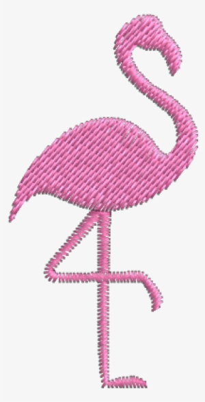 Detalhe Flamingo - Flamingos