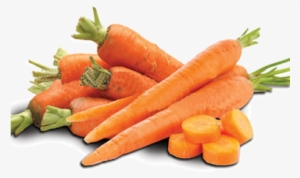 Carrot - Carrot Vegetable