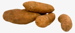 Fresh Sweet Potato Png Image
