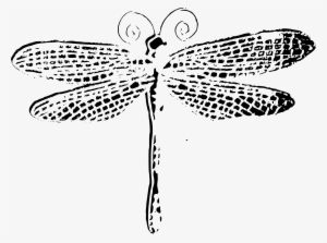 Clipart - Dragonfly Outline Png
