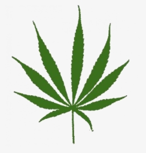 Buy Sativa Online - Cannabis Sativa Leaf