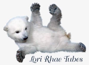 We Remind You That These Tubes Were Made For Educational - Pbp Custom Cute Baby Polar Bear 20x30 Inch Twin Sides