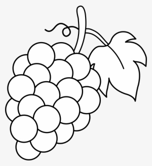 Grapes Free Stock Free Download On Melbournechapter - Grapes Clipart Black And White
