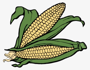 Corn Png