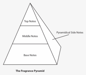 The Fragrance Pyramid - January 7