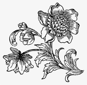 Png Drawing Flower