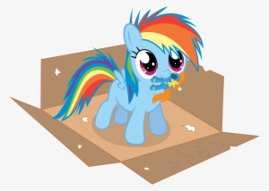 My Little Pony 2f - My Little Pony Rainbow Dash In Box