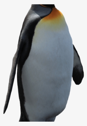 Original - Penguin