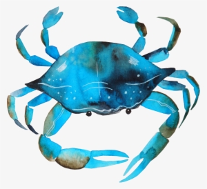 Blue Crab Png - Watercolor Crab