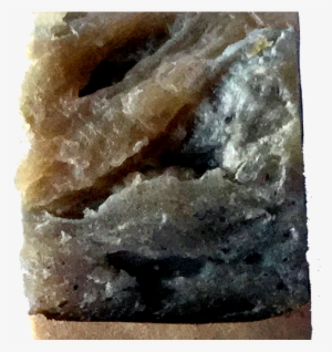 Chaga/blueberry Soap - Oily Fish