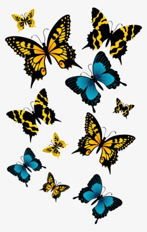 Beautiful Butterfly Png File