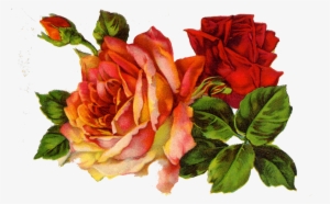 Decoupage Roses On - Red Roses Vintage Png