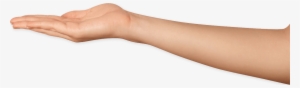 Home - Arm Png Transparent