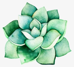 Watercolor Stereo Succulent Cartoon Transparent - Succulent Plant