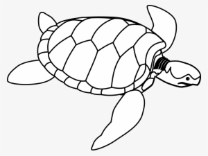 Turtle Clip Art
