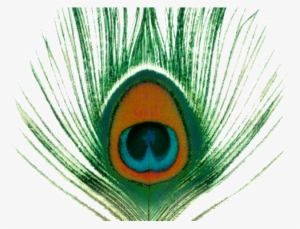 Peacock Clipart Transparent Background - Apple Venus, Vol. 1