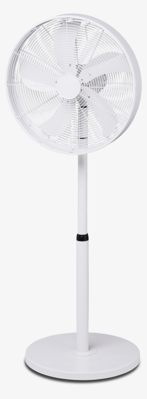 40cm Drum Pedestal Fan - White