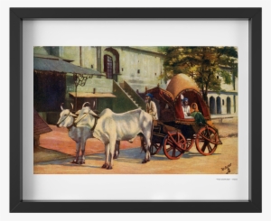Vintage 1900's Ox Drawn Tea Carriage India Art Print - Alte Postkarte - Jeypore, Indien