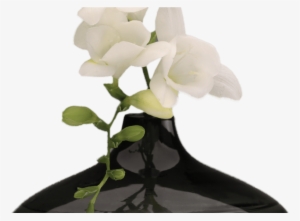 Png Hd Vase Of Flowers Transparent Hd Vase Of Flowerspng - Vase W Flowers Png
