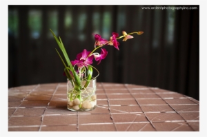 Defoire Photography Stunning Cocktail Table Flower - Anthurium