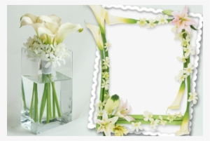 Photo Frame - Delicate Flowers - Vase With Water And Flowers