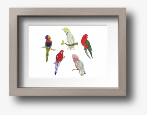 Australian Exotic Birds Machine Embroidery Designs - Picture Frame