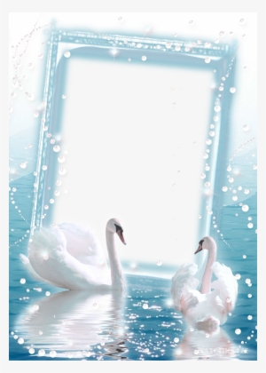 Transparent Photo Frame With Two Swans - Love Four Times Over: Four Historical Romances