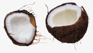 Coconut Png Image - Coconut Png For Photoshop