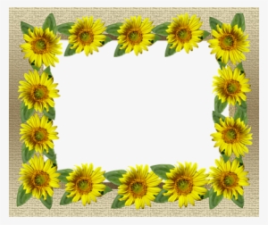 Bingkai Foto Bunga Matahari