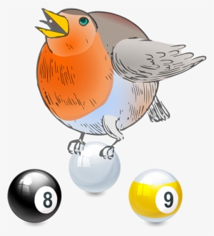 8-9 Ball Advanced Tournaments - Round Robin
