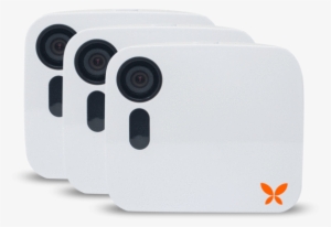 Security Camera [three Pack] - Butterfleye