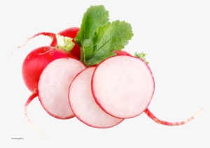 Radish Png - Rediska Png