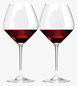 Riedel Vinum Extreme Pinot Noir Wine Glass