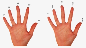 You - Hand