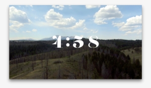 Shortleaf Black Spruce