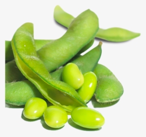 Green Bean Png - Soy Beans Transparent