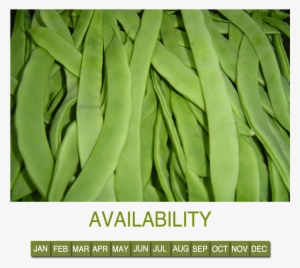 Green Bean - .com
