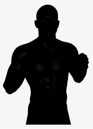 Silhouette Fighter