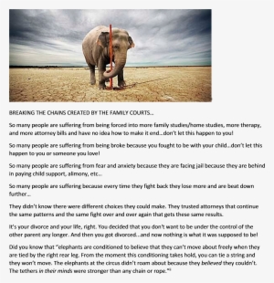 breaking free of family court chains elephant 20140604 - court