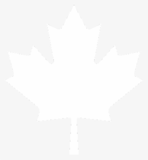 Photo - White Maple Leaf Png